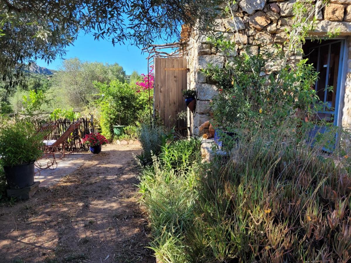 Stazzu La Capretta Farm Camping & Guest Rooms Olbia Zewnętrze zdjęcie