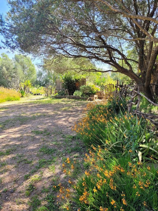 Stazzu La Capretta Farm Camping & Guest Rooms Olbia Zewnętrze zdjęcie