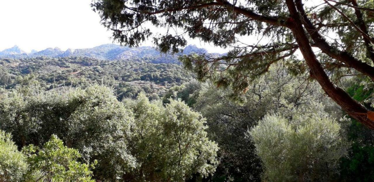 Stazzu La Capretta Farm Camping & Guest Rooms Olbia Zewnętrze zdjęcie