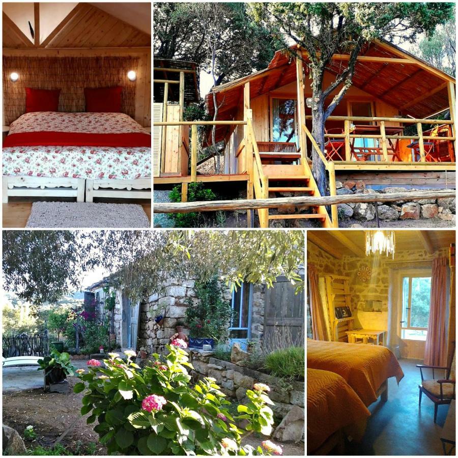 Stazzu La Capretta Farm Camping & Guest Rooms Olbia Zewnętrze zdjęcie